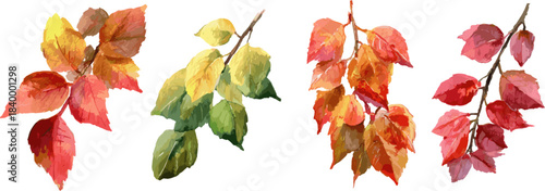 Set of colorful autumn leaves on a branch with different patterns, in clip art style, isolated on white background