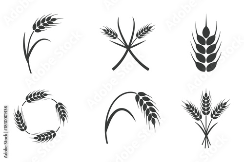 Wheat ear icons in various styles, representing agriculture, harvest, farming, grain, and natural food.