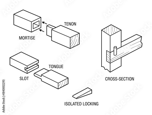 Woodworking joint set. Mortise and tenon. Tongue and slot. Isolated locking. Joinery cross-section