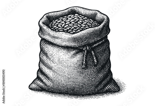 A vintage style, hand-drawn engraving of a burlap sack brimming with coffee beans, isolated on a white background — stock vector.