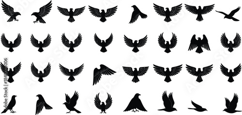 Flying bird silhouette vector set, black raven crow and eagle shapes, wildlife animal collection, wings spread poses, nature design elements