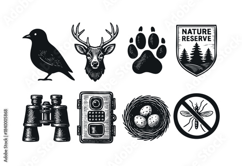 Various hand-drawn vintage-style vector icons featuring elements of nature, animals, and outdoor activities — stock vector.