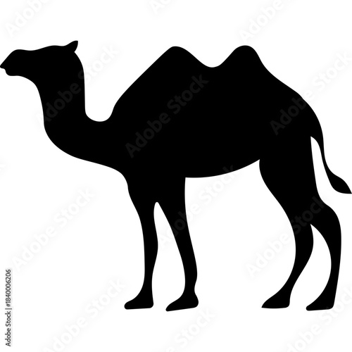Camel Silhouette Islamic Illustration