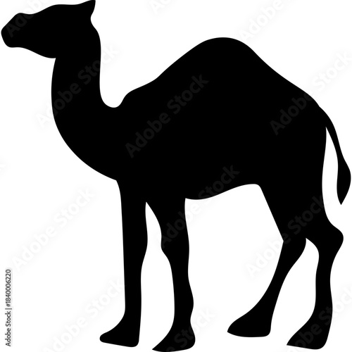 Camel Silhouette Islamic Illustration