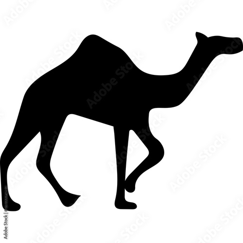 Camel Silhouette Islamic Illustration