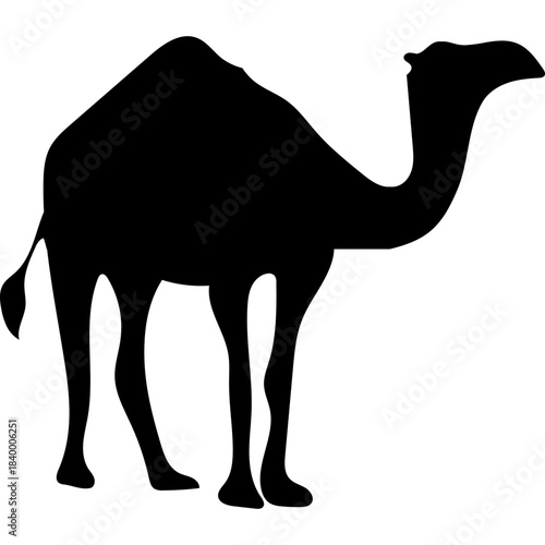 Camel Silhouette Islamic Illustration