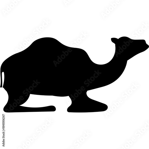 Camel Silhouette Islamic Illustration