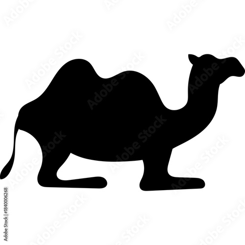 Camel Silhouette Islamic Illustration