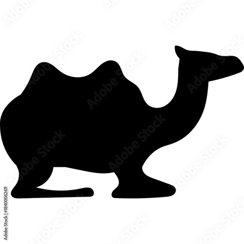 Camel Silhouette Islamic Illustration