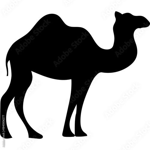 Camel Silhouette Islamic Illustration