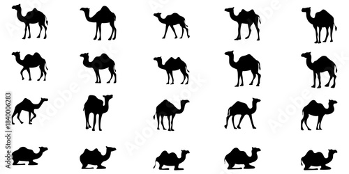 Camel Silhouette Islamic Illustration