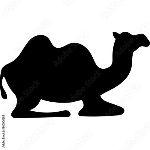 Camel Silhouette Islamic Illustration