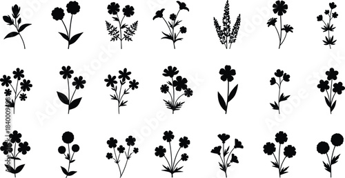 Wildflower silhouette vector set, floral botanical illustrations in various shapes, meadow flower icons, natural plant elements, decorative garden design collection