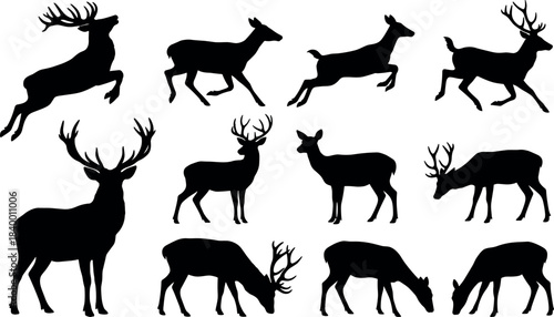 Deer Silhouettes in Various Poses, Wildlife Vector Icons for Nature, Hunting, Forest, Rustic Design Projects - flavector
