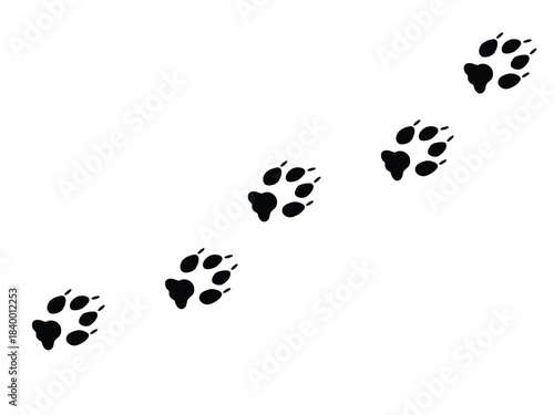A chain of dog paw prints with claws. Vector illustration isolated on a white background