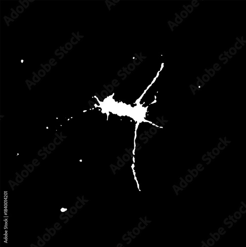 Hand drawn stylized grunge bird droppings set black and white. Flat blot style vector illustration. (Can be used as texture for cards, invitations, DIY, web sites)