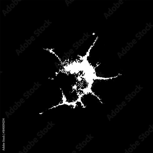Hand drawn stylized grunge bird droppings set black and white. Flat blot style vector illustration. (Can be used as texture for cards, invitations, DIY, web sites)