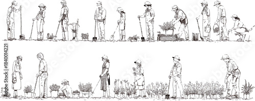 Line of Workers Planting Saplings: A meticulous depiction of workers diligently planting saplings in a cultivated environment. Showcasing dedication.