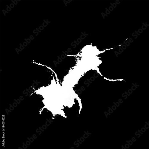 Hand drawn stylized grunge bird droppings set black and white. Flat blot style vector illustration. (Can be used as texture for cards, invitations, DIY, web sites)	