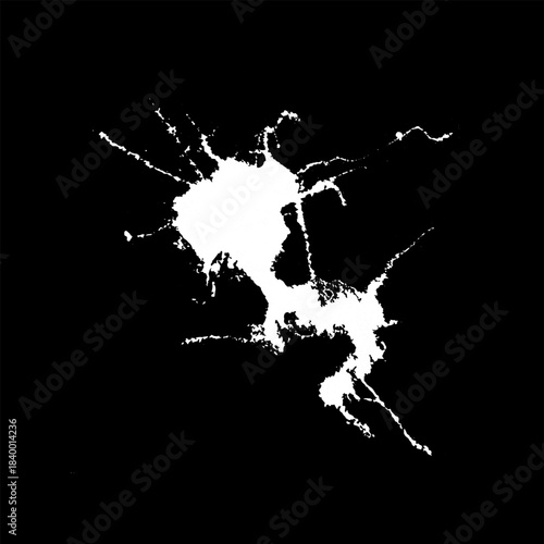 Hand drawn stylized grunge bird droppings set black and white. Flat blot style vector illustration. (Can be used as texture for cards, invitations, DIY, web sites)
