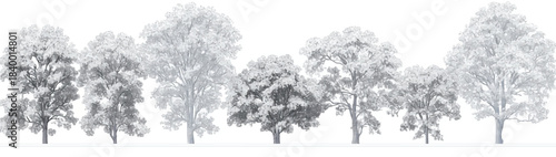 Winter Wonderland Trees: An enchanting scene of snow-covered trees in a winter wonderland, where nature's serene beauty captures a tranquil atmosphere and cold season.