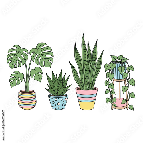 Collection of Potted Houseplants - Monstera, Snake Plant, and Succulents.