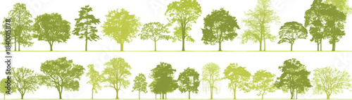 Green Trees Silhouette: A collection of various trees in verdant green, set against a backdrop, representing natural scenery and a sense of harmony. 