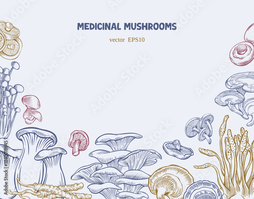 Functional and medicinal mushrooms in engraving style. Vector illustration