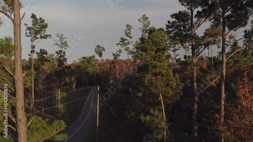 Aerial flight through pine forest and heading down a road