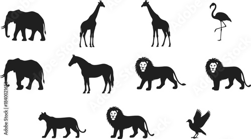 PrintAnimal silhouette set, wild species collection including elephant, giraffe, lion, bird, black vector illustration for nature and wildlife
