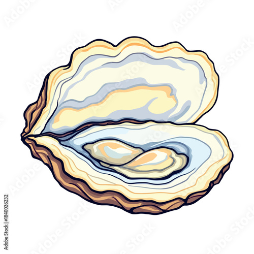 Vsai open oyster with bivalve mollusk seafood illustration