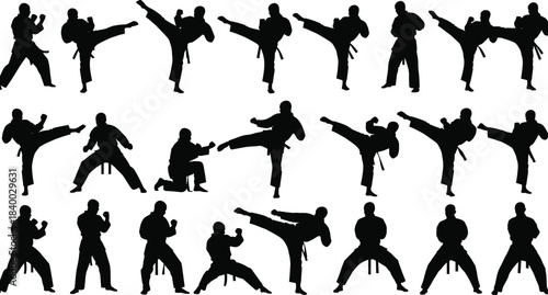 Karate fighters vector silhouette collection: various martial arts poses, including high kicks, punches, blocks, and stances, for self-defense, training, and combat sports concepts.