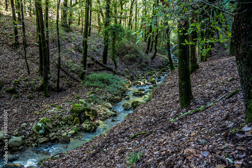 Beautiful landscape view from Ain Drahem forest, Tunisia