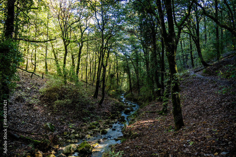 Obraz premium Beautiful landscape view from Ain Drahem forest, Tunisia