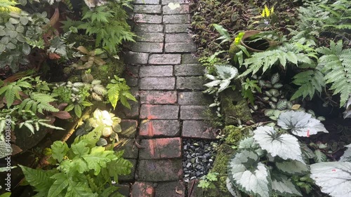 A lush garden pathway surrounded by dense tropical plants and natural green foliage creates a peaceful, nature-filled atmosphere.