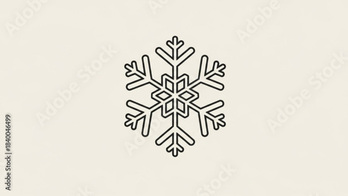 Exquisite Snowflake: Capturing the intricate geometry of a single snowflake.
