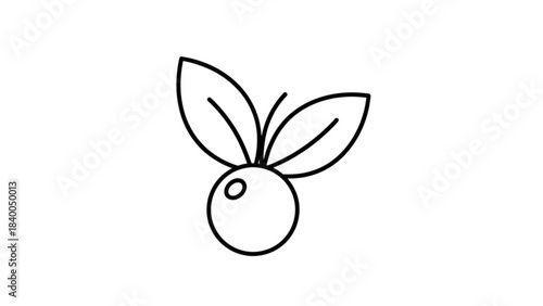 Simple Berry Illustration: A minimalist line drawing showcases a single berry and three leaves, emphasizing natural simplicity and freshness.