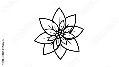 Floral Harmony: A pristine black and white illustration of a delicate blossom. It features intricately designed petals and a detailed center. 