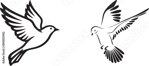 Two white doves in flight depicted in a simple black and white illustration