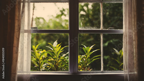 Window view with greenery and soft curtains creating a serene atmosphere