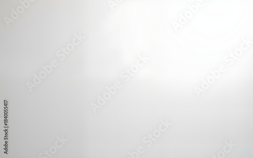 For online presentations and virtual meetings and video conference calls with teams, a simple and clean white wall or backdrop is ideal. High quality