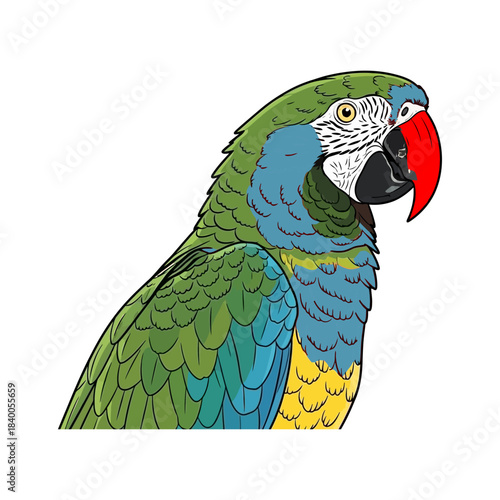 Colorful illustration of a bluethroated macaw head and upper body profile