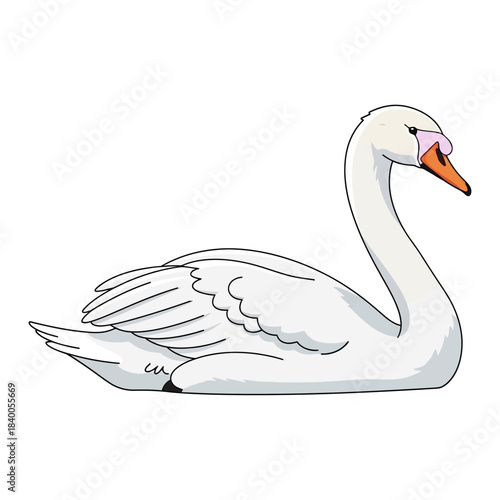 Cartoon swan sitting illustration