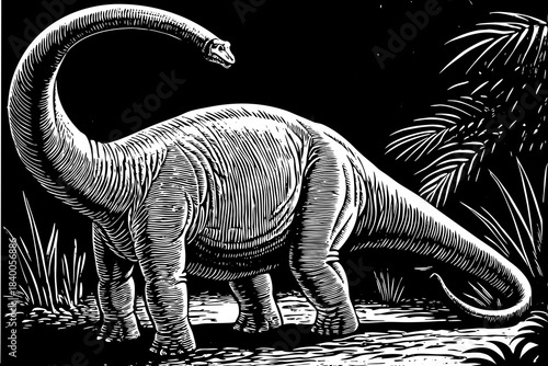 diplodocus drawn with elegant curves, slow posture, and extended tail creating a gentle prehistoric composition