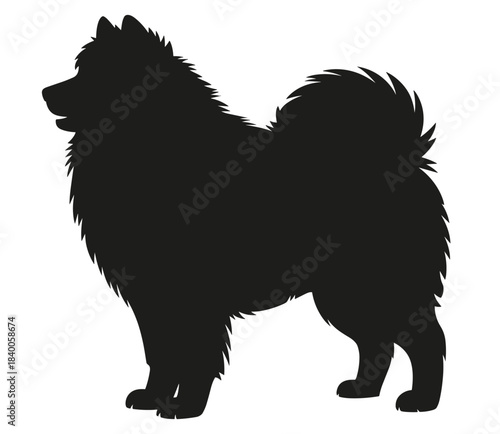 Fluffy dog silhouette with thick fur and curled tail for pet graphics, breed identification, animal design, decoration and branding, flat vector illustration