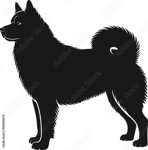 Fluffy dog silhouette with curled tail standing in profile featuring thick fur and elegant lines for pet graphics, flat vector illustration