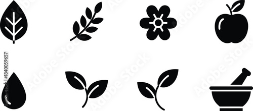 Minimalist botanical silhouettes of leaves fruit and a pestle and mortar