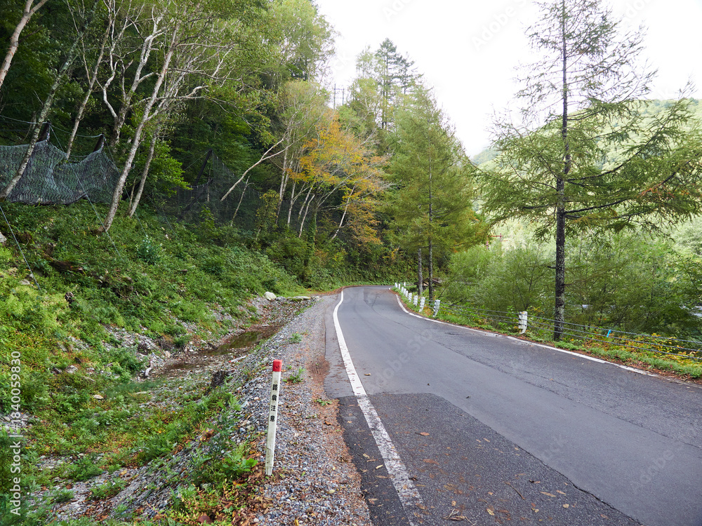 Fototapeta premium 秋の観光名所上高地の森と道路の風景
