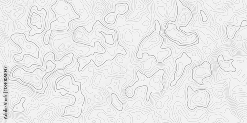 Fine-Line Topographic Elevation Mapping Featuring Gentle Layered Contours
A Sophisticated Seamless Pattern for Modern Graphic, Textile, and Web Designs