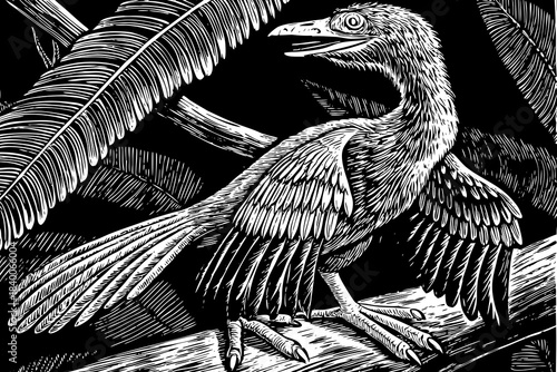 sketch of archaeopteryx with feathered wings, representing the transition between dinosaurs and birds in elegant lines